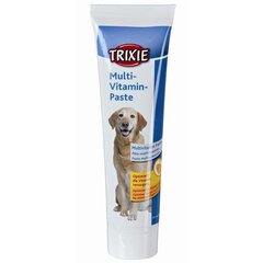 Паста «Trixie» с витаминами, 100 г цена и информация | Пищевые добавки и анти-паразитные товары | kaup24.ee