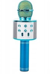 Беспроводной микрофон «Bluetooth», FM-радио цена и информация | Развивающие игрушки | kaup24.ee