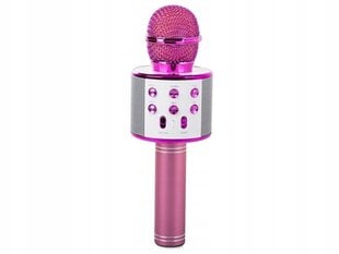 Juhtmevaba mikrofon "Bluetooth", FM-raadio hind ja info | Arendavad mänguasjad | kaup24.ee