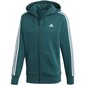 Meeste dressipluus Adidas Ess 3S FZ BM DN8800 цена и информация | Meeste pusad | kaup24.ee