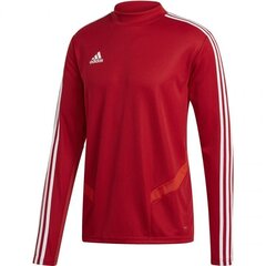 Adidas meeste Dressipluus, punane S hind ja info | Meeste pusad | kaup24.ee