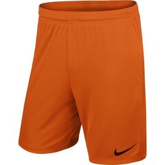 Спортивные шорты для мальчиков Nike Park II Junior 725988-815 цена и информация | Шорты для мальчиков | kaup24.ee