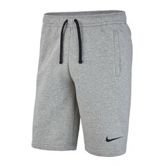 Lühikesed spordipüksid poistele Nike FLC Team Club JR 19 A'3142-063 (47044) hind ja info | Poiste lühikesed püksid | kaup24.ee