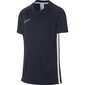 Nike B Dry Academy SS Junior AO0739- 451 (46439) spordisärk lastele цена и информация | Poiste särgid | kaup24.ee