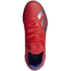 Meeste jalgpalli puutsad Adidas X 18.3 IN M BB9403 hind ja info | Jalgpallijalatsid | kaup24.ee