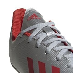 Jalgpalli puutsad Adidas X 19.4 FxG Jr F35362, hallida цена и информация | Футбольные бутсы | kaup24.ee