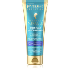 Jala- ja küünte kreem Eveline Egyptian Miracle, 50 ml цена и информация | Кремы, лосьоны для тела | kaup24.ee