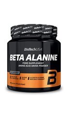 Biotech Beta Alanine 300 г. цена и информация | Аминокислоты | kaup24.ee