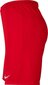 Meeste lühikesed püksid Nike BV6855 657, punane hind ja info | Meeste lühikesed püksid | kaup24.ee