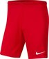 Meeste lühikesed püksid Nike BV6855 657, punane hind ja info | Meeste lühikesed püksid | kaup24.ee
