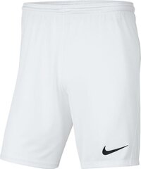 Nike meeste lühikesed püksid BV6855 100, valge цена и информация | Мужские шорты | kaup24.ee