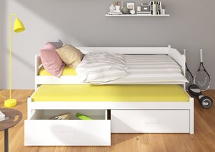 Детская кровать ADRK Furniture Tiarro, 90x200 см, темно-коричневая/белая цена и информация | Детские кровати | kaup24.ee