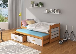 Lastevoodi Adrk Furniture Tiarro 80x180 cm, pruun/hall цена и информация | Детские кровати | kaup24.ee