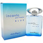 Salvatore Ferragamo Incanto Blue EDT meestele 100 ml цена и информация | Meeste parfüümid | kaup24.ee