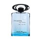 Salvatore Ferragamo Incanto Blue EDT meestele 100 ml hind ja info | Meeste parfüümid | kaup24.ee