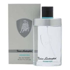 Туалетная вода Tonino Lamborghini Essenza EDT для мужчин, 75 мл цена и информация | Мужские духи | kaup24.ee