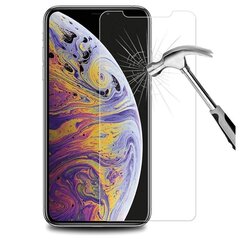 LCD kaitsev karastatud klaas Orange Apple iPhone 11 hind ja info | Ekraani kaitsekiled | kaup24.ee