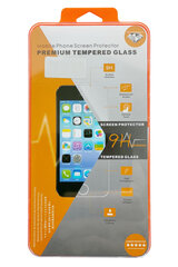 Защитное стекло Orange для дисплея Apple iPhone 11 цена и информация | Защитные пленки для телефонов | kaup24.ee