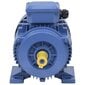 vidaXL kolmefaasiline elektrimootor, 3kW / 4AG, 2-pooluseline, 2840 p / min. hind ja info | Generaatorid | kaup24.ee