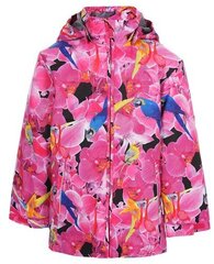 Soojustusega jakk 40 g HUPPA цена и информация | Куртки, пальто для девочек | kaup24.ee
