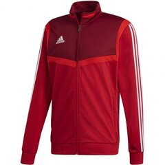 Meeste dressipluus Adidas tiro 19 presentation M D95936, punane цена и информация | Мужская спортивная одежда | kaup24.ee