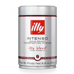 Illy Intenso Кофе в зернах 0,25kg цена и информация | Кофе, какао | kaup24.ee