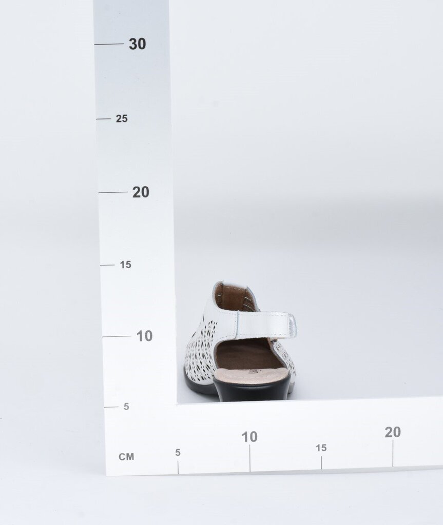 Sandaalid Naistele , Lavanta 22318012.40 цена и информация | Naiste sandaalid | kaup24.ee