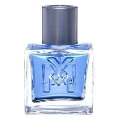 Mexx Man EDT meestele 30 ml hind ja info | Meeste parfüümid | kaup24.ee