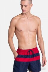 Мужские пляжные шорты Henderson 38858 цена и информация | Плавки, плавательные шорты | kaup24.ee