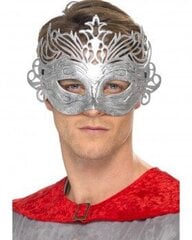 Мужская маска домино серебристого цвета цена и информация | Карнавальные костюмы | kaup24.ee