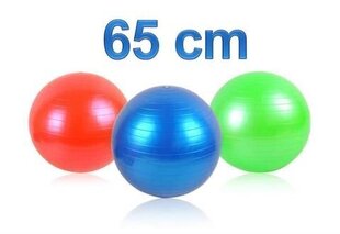 Võimlemispall 65 cm цена и информация | Гимнастические мячи | kaup24.ee