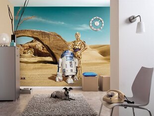 Star Wars Lost Droids цена и информация | Фотообои | kaup24.ee