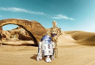 Star Wars Lost Droids hind ja info | Fototapeedid | kaup24.ee