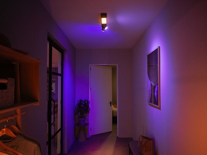 Philips Hue punkt-laevalgusti keskus цена и информация | Laelambid | kaup24.ee