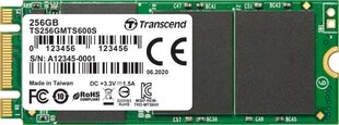 Transcend TS256GMTS600S цена и информация | Внутренние жёсткие диски (HDD, SSD, Hybrid) | kaup24.ee