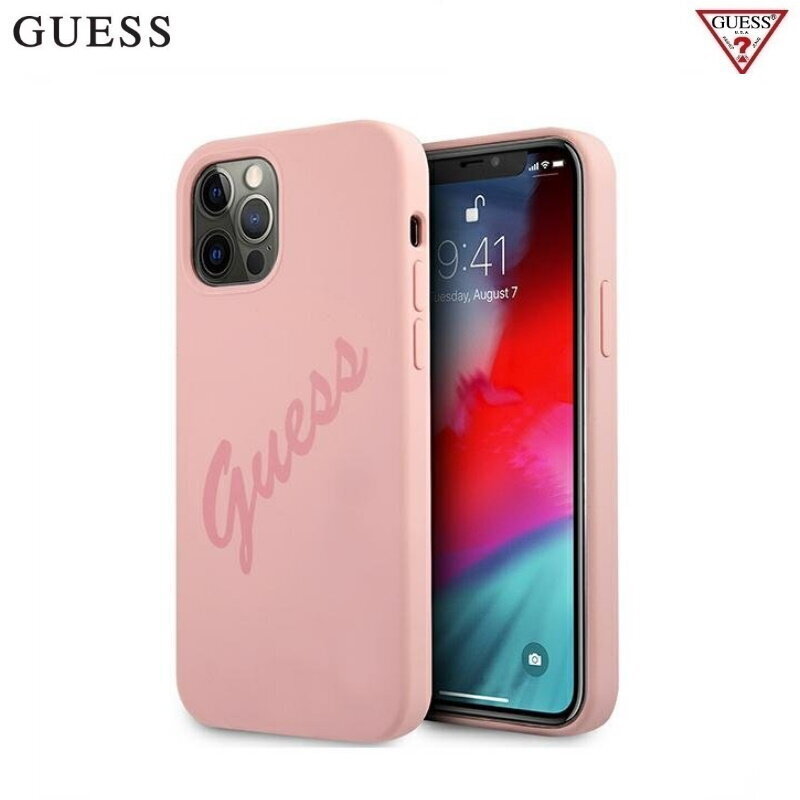 Guess GUHCP12MLSVSPI hind ja info | Telefoni kaaned, ümbrised | kaup24.ee