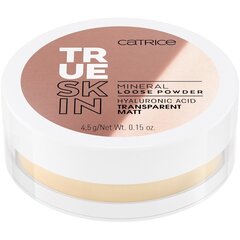 Сыпучая минеральная пудра Catrice True Skin 4.5 г, 010 Transparent Mat цена и информация | Пудры, базы под макияж | kaup24.ee