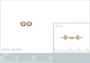 Серьги с золотым покрытием 750°, 2 мм, произведено во Франции цена и информация | Серьги | kaup24.ee