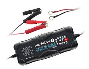 Akulaadija everActive CBC-10 12/24V, 10-300Ah цена и информация | Зарядные устройства | kaup24.ee