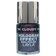 Layla Cosmetics Hologram Effect No.14 10ml hind ja info | Küünelakid, küünetugevdajad | kaup24.ee