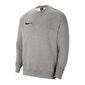 Meeste spordi dressipluus Nike Park 20 Crew Fleece M CW6902-063, hall hind ja info | Meeste pusad | kaup24.ee