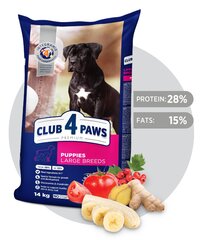 Club 4 Paws Премиум полноценный сухой корм для собак Щенки большие с курицей, 14.0 кг цена и информация | Сухой корм для собак | kaup24.ee