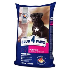 Club 4 Paws Премиум полноценный сухой корм для собак Щенки большие с курицей, 14.0 кг цена и информация |  Сухой корм для собак | kaup24.ee