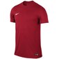Poiste t-särk Nike Park VI Junior 725984-657, punane hind ja info | Poiste särgid | kaup24.ee