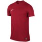 Poiste t-särk Nike Park VI Junior 725984-657, punane цена и информация | Poiste särgid | kaup24.ee