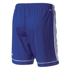 Мужские шорты Adidas Squadra 17, синие цена и информация | Мужские шорты | kaup24.ee