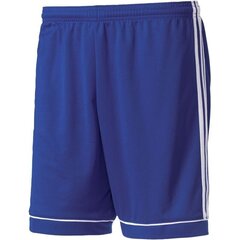 Meeste lühikesed püksid Adidas Squadra 17, sinine hind ja info | Meeste lühikesed püksid | kaup24.ee