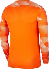 Meeste T-särk Nike Park IV GK CJ6066 819 CJ6066 819, oranž цена и информация | Мужские футболки | kaup24.ee