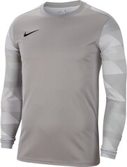 Nike мужская футболка Park IV GK CJ6066 052 CJ6066 052, серая цена и информация | Мужские футболки | kaup24.ee