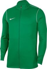 Джемпер мужской Nike Dry Park 20 Training 21740_188892, зеленый цена и информация | Мужские толстовки | kaup24.ee